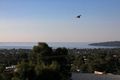 Property photo of 23 Ocean Street Dromana VIC 3936