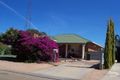 Property photo of 48 Joffre Street Risdon Park SA 5540