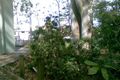 Property photo of 3 Illalangi Estate Street Mount Pleasant QLD 4740