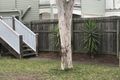 Property photo of 143 Kent Road Kalinga QLD 4030
