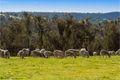 Property photo of 6053 Great Northern Highway Bindoon WA 6502