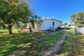 Property photo of 15 Albert Street Pyramid Hill VIC 3575
