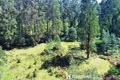 Property photo of 194 Smiths Road Toolangi VIC 3777