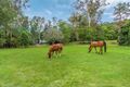Property photo of 453 Upper Brookfield Road Upper Brookfield QLD 4069