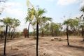 Property photo of 375 Darwin River Road Darwin River NT 0841