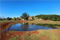 Property photo of 56 Tooheys Mill Road Pearces Creek NSW 2477