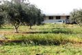 Property photo of 157 Kallora Road Bowmans SA 5550