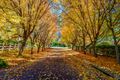 Property photo of 6 Alexandra Crescent Bowral NSW 2576