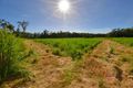 Property photo of 57162 Bruce Highway Bilyana QLD 4854