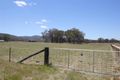 Property photo of 41 Sunnyside Platform Road Tenterfield NSW 2372