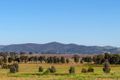 Property photo of 2391 Castlereagh Highway Gulgong NSW 2852