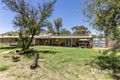 Property photo of 17 Purvis Crescent Gillen NT 0870