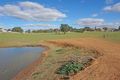 Property photo of 26 Kemp Street Junee NSW 2663