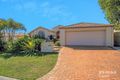 Property photo of 24 Dellwood Circuit Molendinar QLD 4214