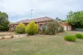 Property photo of 19 Windsor Avenue Alfredton VIC 3350