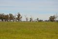 Property photo of 427 McPhersons Road Mundoona VIC 3635