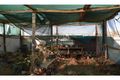 Property photo of LOT 1224 Goldsworthy Street Coober Pedy SA 5723