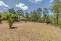 Property photo of 244 Williamson Road Tamborine QLD 4270