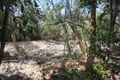 Property photo of 291 Pace Road Rollingstone QLD 4816