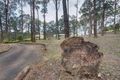 Property photo of 16 Collie Road Gembrook VIC 3783