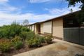 Property photo of 4 Burns Street Waikerie SA 5330