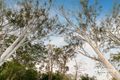 Property photo of 17 Gordon Road Bardon QLD 4065
