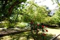 Property photo of 56 Coombes Street Collie WA 6225
