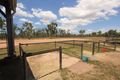 Property photo of 299 Granitevale Road Alice River QLD 4817