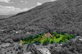 Property photo of 17-23 Tognolini Close Redlynch QLD 4870