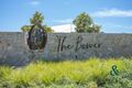 Property photo of 58 Royal Avenue Medowie NSW 2318