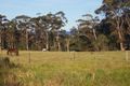 Property photo of 3 Bada Crescent Burrill Lake NSW 2539