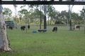 Property photo of 49 Annaville Road Jensen QLD 4818