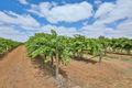 Property photo of 9272 Calder Highway Irymple VIC 3498
