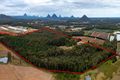 Property photo of 165 Newlands Road Wamuran QLD 4512