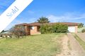 Property photo of 16 Gardner Circuit Singleton Heights NSW 2330