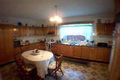 Property photo of 7 Goodwin Avenue Mount Lewis NSW 2190