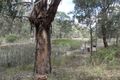 Property photo of 33 Veldens Road Toorloo Arm VIC 3909
