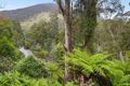 Property photo of 49 Riverturn Lane Warburton VIC 3799