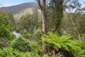 Property photo of 49 Riverturn Lane Warburton VIC 3799