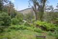 Property photo of 49 Riverturn Lane Warburton VIC 3799