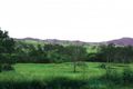 Property photo of 4525 D'Aguilar Highway Woolmar QLD 4515