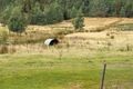 Property photo of 685 Pelverata Road Kaoota TAS 7150