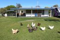 Property photo of 16 Frazer Street Ashford NSW 2361