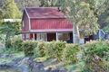 Property photo of 488 Cedar Creek Road Cedar Creek QLD 4207