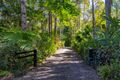 Property photo of 25 Evans Grove Road Glenview QLD 4553