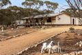 Property photo of 386 Codrington Road Mannum SA 5238