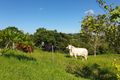 Property photo of 156 Jensens Road Farleigh QLD 4741