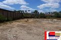 Property photo of 45 Caley Crescent Drewvale QLD 4116