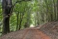 Property photo of 532 Upper Burringbar Road Upper Burringbar NSW 2483