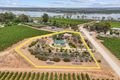 Property photo of 43 Anderson Road Loveday SA 5345